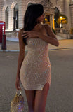 Timeless Passion Embellished Mini Dress Champagne